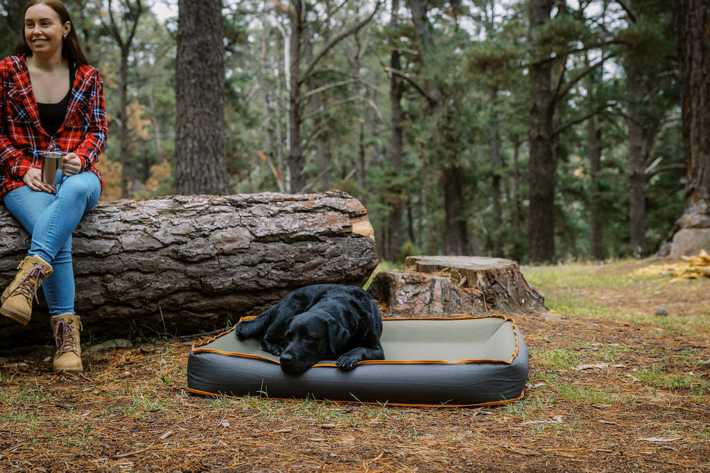 The Ultimate Camping Dog Bed for Australian Adventures