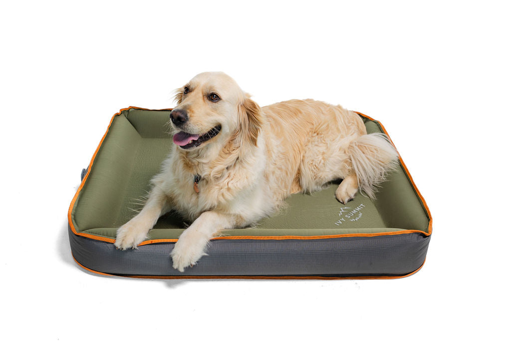 Lightweight inflatable travel camping dog bed large dog